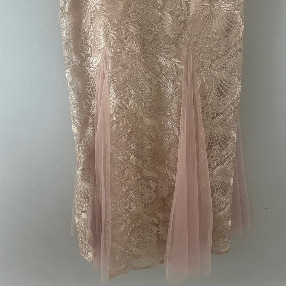 Alex Evenings Lace Evening Gown size 10 - Picture 4 of 11